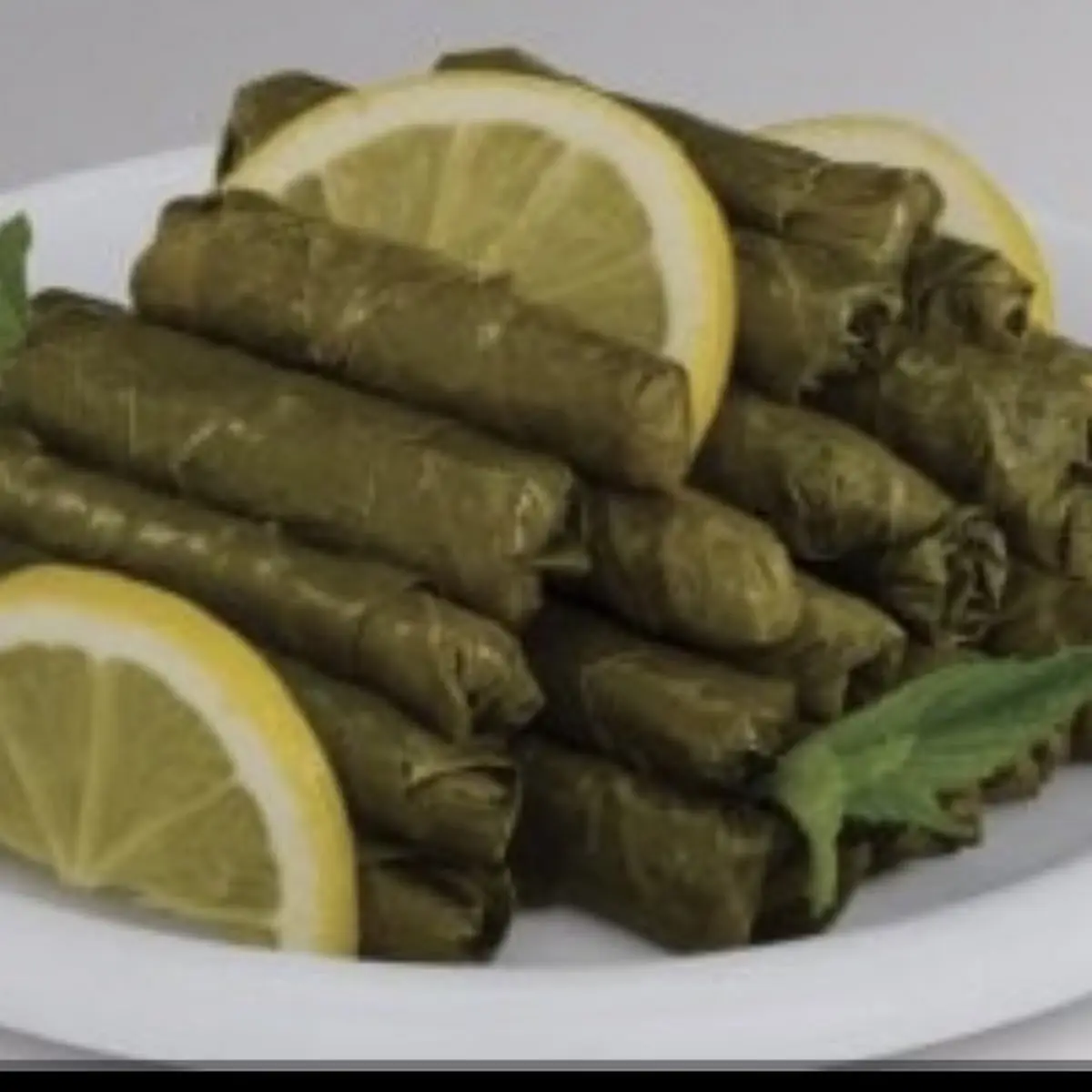 grape leaves ورق عنب